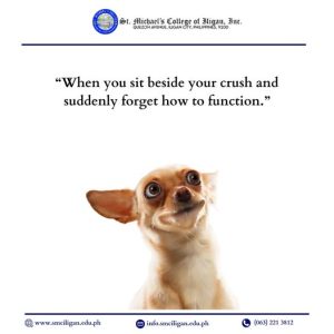 Read more about the article Ever had that moment when you sit next to your crush and suddenly forget how to function?