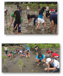 Read more about the article CSG-KASAPI Supports Coastal and Marine Conservation