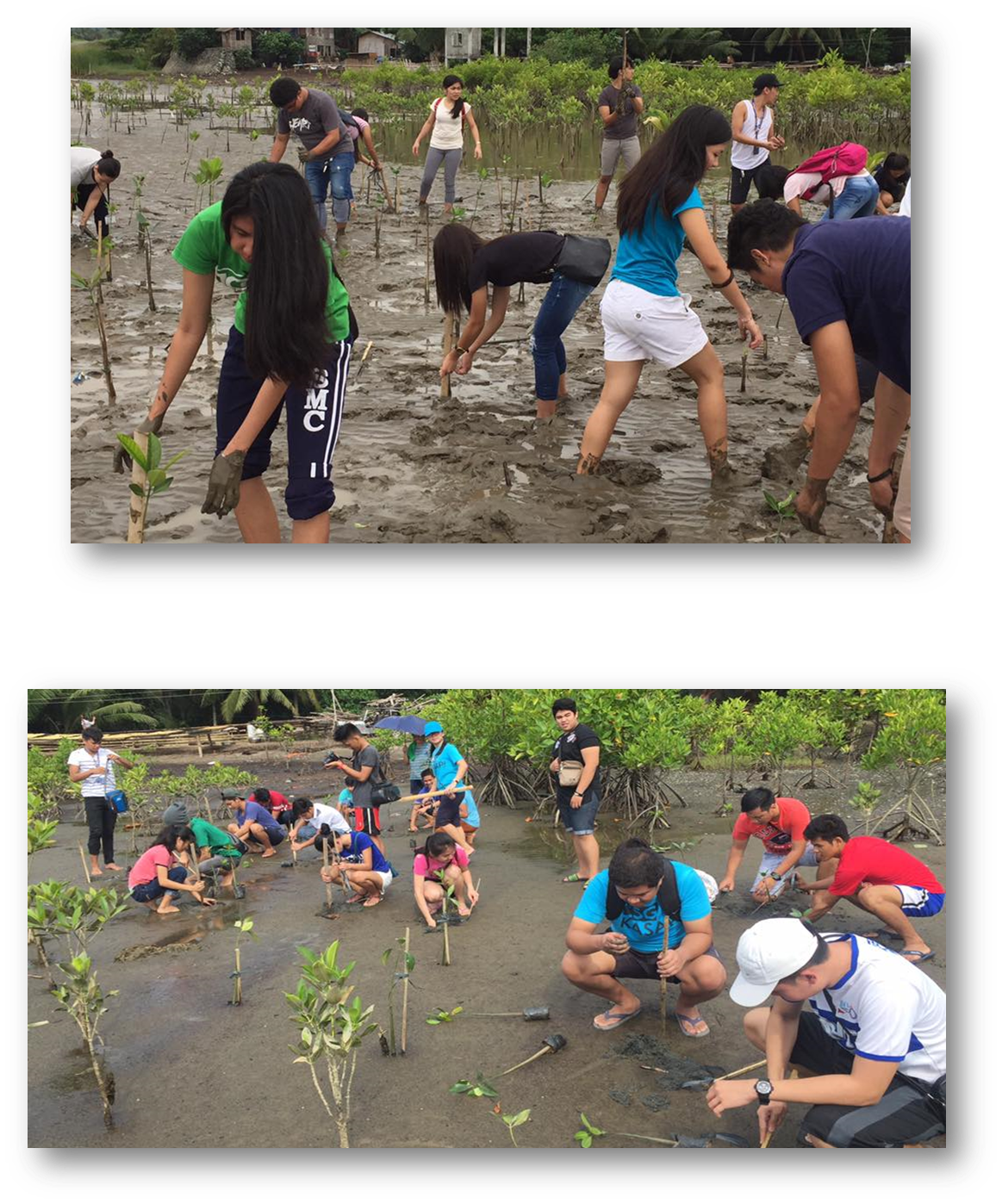 Read more about the article CSG-KASAPI Supports Coastal and Marine Conservation