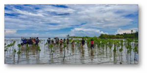 Read more about the article Grade 11 HUMSS Advocates for Coastal Conservation