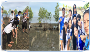 Read more about the article Mangrove Planting and Clean-up Drive
